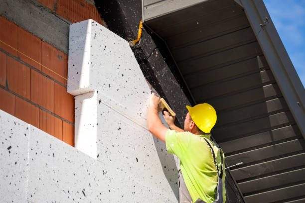 Best Commercial Insulation Services  in South Monroe, MI